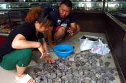 赤峰古玩城疫情防控電話號(hào)碼