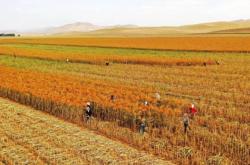 赤峰魔鏡網(wǎng)咖電話多少號碼