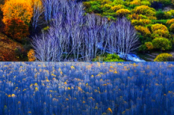 赤峰市哪里有草原