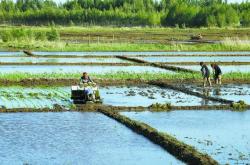 赤峰市水稻收購電話是多少號