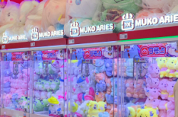 赤峰紅廟子抓娃娃電話號碼是多少