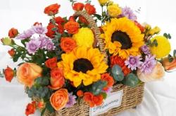 赤峰維娜花店電話號碼多少號