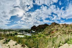 赤峰五彩樹小米店電話號碼