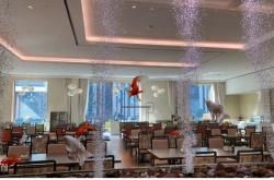 赤峰平莊社區(qū)養(yǎng)老院電話號碼