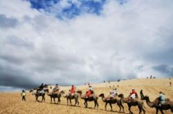 赤峰網(wǎng)約車工會(huì)電話號(hào)碼查詢