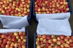 赤峰天山養(yǎng)殖場(chǎng)電話多少號(hào)