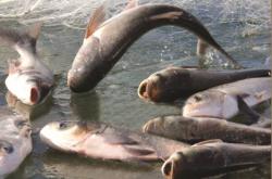 赤峰市紅山水庫招聘電話號碼