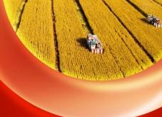 赤峰張大大鴨爪店地址電話號碼