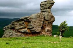 赤峰阿旗修面店電話號(hào)碼多少