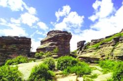 赤峰書店七彩城店電話號碼