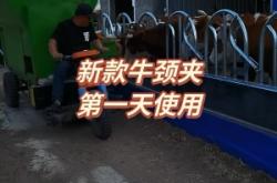 赤峰牛頸夾供貨商電話號碼