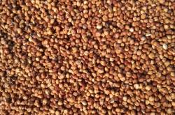 赤峰紙板供應(yīng)商電話號碼查詢