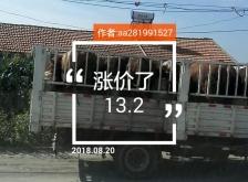 赤峰市電視臺(tái)直播電話號(hào)碼