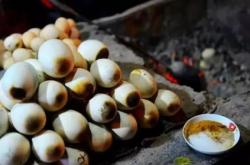 赤峰賣鴿子蛋電話號碼查詢地址