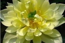 赤峰花卉種球網(wǎng)袋批發(fā)電話號(hào)碼