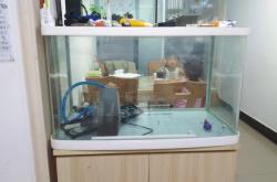 赤峰魚缸廠家批發(fā)