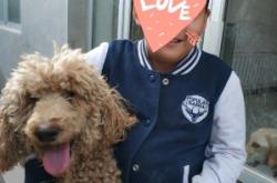 赤峰市狗狗認領(lǐng)電話是多少號