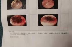 赤峰小兔子醫(yī)院電話號碼多少