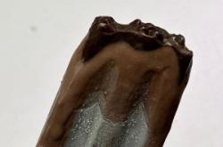 赤峰德華摩巧雪糕店電話號(hào)碼