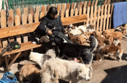 赤峰市流浪貓狗救助站