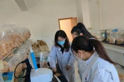 赤峰烘干小麥種植基地電話號(hào)碼