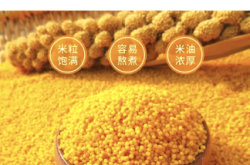 赤峰百信小米售后電話是多少號(hào)