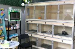 赤峰剪毛狗狗團(tuán)購(gòu)電話(huà)號(hào)碼查詢(xún)