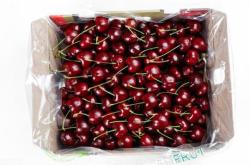 赤峰水果盒批發(fā)電話號(hào)碼查詢