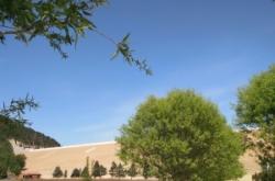 赤峰寧城相親會(huì)電話號(hào)碼查詢