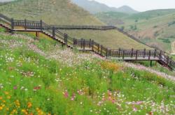 赤峰心景花海地址電話號碼