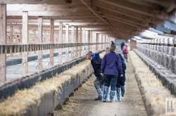 赤峰水貂養(yǎng)殖廠電話號(hào)碼查詢