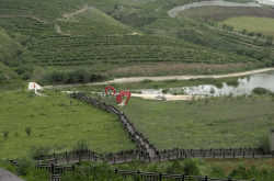 赤峰松山區(qū)合管辦電話是多少