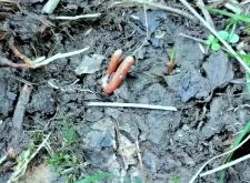 赤峰大蟲生態(tài)園電話號碼查詢