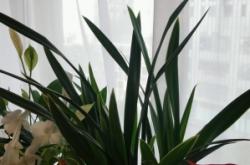 赤峰敖漢旗花棧鮮花店電話是多少