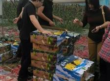 赤峰富河園水果超市電話號碼