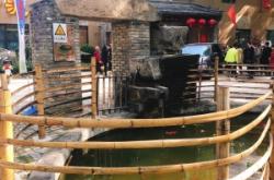 赤峰扒豬臉店電話號碼多少