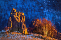 赤峰五門市賣豬肉電話號(hào)碼