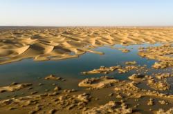 赤峰翁旗鞭炮專賣店電話號碼