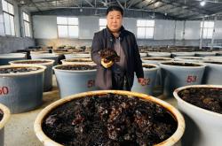 赤峰市咸菜廠家電話地址查詢