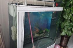 赤峰二手魚(yú)缸同城網(wǎng)電話號(hào)碼