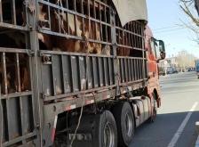 赤峰林西水暖店電話(huà)多少號(hào)