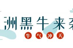 赤峰黑牛烤肉店電話號(hào)碼