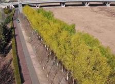 赤峰修無人機(jī)電話地址查詢