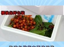 赤峰泡沫包裝箱批發(fā)電話號(hào)碼