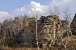 赤峰馬料批發(fā)市場(chǎng)電話號(hào)碼