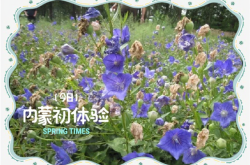 赤峰錦惠大藥房電話號(hào)碼查詢