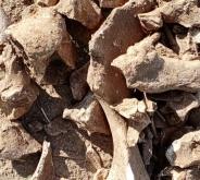 赤峰林西滑旱冰場電話號碼