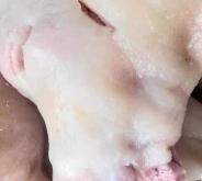 赤峰牛頭肉批發(fā)電話多少號