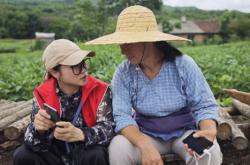 赤峰時興農(nóng)具廠地址電話號碼