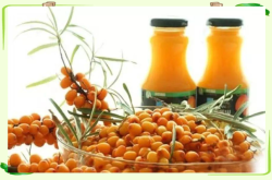 赤峰沙棘汁供應(yīng)商電話地址查詢